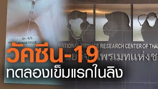 วัคซีนโควิด-19 l ไทยทดลองเข็มแรกในลิง-สหรัฐเตรียมขยายฉีดให้มนุษย์ l TNN ข่าวเที่ยง l 23/05/63