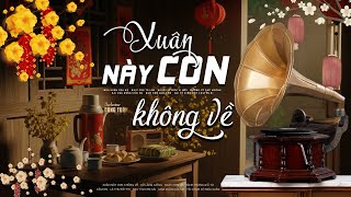 Xuân Này Con Không Về - LK Nhạc Xuân Hải Ngoại 2026 Hay Nhất Chào Xuân Bính Ngọ - Công Tuấn Bolero