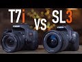 Canon T7i (800D) vs SL3 (250D)