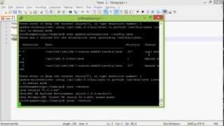 Set JDK8 as default java and javac with alternatives for Raspberry Pi