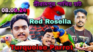 Exotic Birds Price Update Serampore Bird Market || Monk Parakeet,  Turquoise parrot 🐦 পর্ব -1