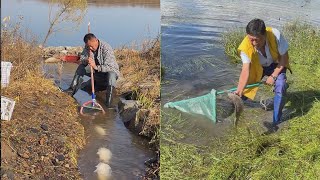 稻田裏抓魚，感受自然之美#fisherman #抓鱼 #有趣 #戶外