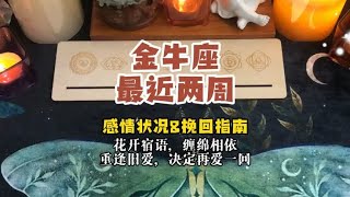 金牛座 最近两周感情状况\u0026挽回指南：花开宿语，缠绵相依