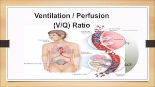 Pathophysiology for the EMT Lecture