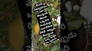 నిజమే కదా