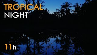 Tropical Night - Jungle Lake Sounds for Sleeping - Frogs & Crickets - 11 Hours - Relaxing Nature