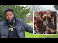 50 cent responds to jim jones dissing him u0026 g unit in new interview “you working u0026..