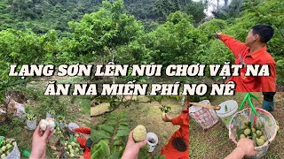 EXPERIENCE GOING UP THE MOUNTAIN TO PICK CUCUMBER AND EAT RIPE CUCUMBER FROM THE TREE AT THE GARD...