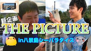 【第一回】THE PICTURE in 八景島シーパラダイス【新企画】