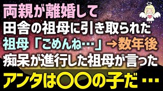 【感動する話】両親が離婚して田舎の祖母に引き取られた。祖母「ごめんね…」→数年後に痴呆が進行した祖母が言ったアンタは〇〇の子だ…（泣ける話）感動ストーリー朗読