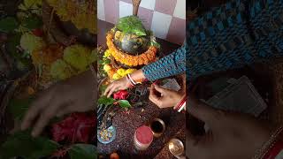 बेलपत्र समीपत्र और कनेर का पुष्प का यह उपाय करें हर हर महादेव श्री शिवाय नमः स्टब