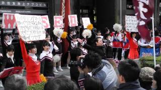 2013年箱根駅伝　早稲田応援