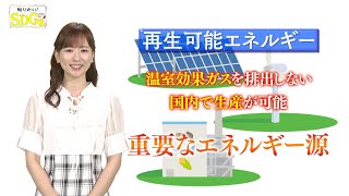 知りたい！SDGs #201 |2023/8/3放送