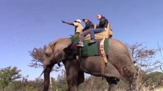 July 2017 - African Safari Elephant Ride