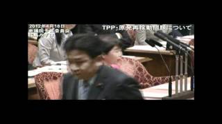 ＴＰＰ・原発再稼働問題について｜福島みずほ（参予算委12.4.18