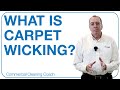 What is Carpet Wicking?