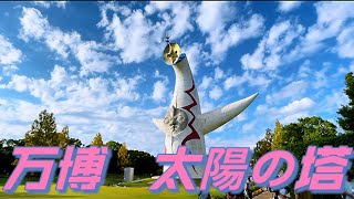 万博記念公園に行きました。この動画は太陽の塔の周りを歩いたところです。#万博記念公園 #大阪観光 #観光 #旅行