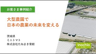 【農業参入 お客さま事例】大型農園で日本の農業の未来を変える　株式会社たねまき常総