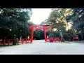 京都観光気分｜vol 17 幻想的で歴史溢れる糺の森を散歩 下鴨神社 河合神社 【 kyoto walk japan vlog 4k asmr 】