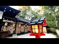 京都観光気分｜vol 17 幻想的で歴史溢れる糺の森を散歩 下鴨神社 河合神社 【 kyoto walk japan vlog 4k asmr 】