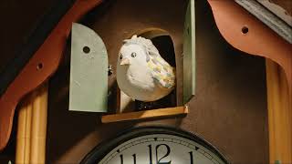 Lisi Development: Cuckoo Clock - A Christmas Story