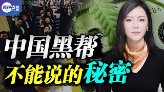 【有彩蛋】💥中國黑幫掌控着北美海洛因市場! 中共權貴如何轉移巨額資產, 催生無數犯罪活動, 而加拿大是一切行動的中心！真觀點 | 真飛【第134期】【20210623】