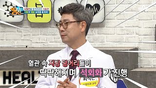 혈관을 꽉 막고 있는 기름 덩어리?! 고염 섭취를 줄이고 뇌경색을 막아라! | 나는 몸신이다 356 회