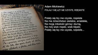 Adam Mickiewicz - POLAŁY SIĘ ŁZY ME CZYSTE, RZĘSISTE