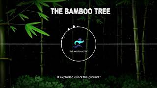 THE STORY OF THE BAMBOO TREE - an inspirational journey