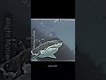 great white shark vs hyena who win dinosaurs jurassicworld paleontology reptile animals