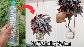 How to make self watering hanging pot using plastic bottles | Hanging plant ideas