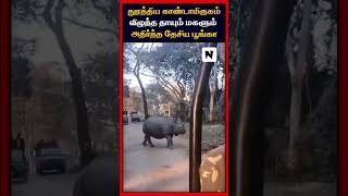 துரத்திய காண்டாமிருகம்விழுந்த தாயும் மகளும் அதிர்ந்த தேசிய பூங்கா @Neutralsmedia #zoo #entertainment