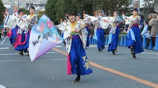 第115回 赤穂義士祭り パレード 関西福祉大学 よさこいサークル～天舞～チーム 鳴子踊り 2018 12