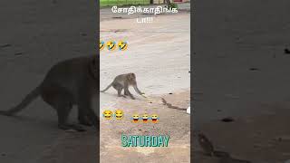 நாங்களாம் ஊருக்குள்ள பல பேருக்கு யோசனை சொல்லுவோம்🤣🤣funny #tags #shorts