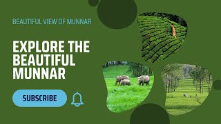 Munnar, 😍located in God's Own Country, is Heaven on Earth. #2 / #Travel -#peace #best #trip #explore