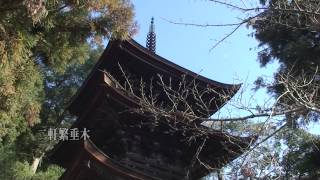 30秒の心象風景6588・塔の軒裏～六条八幡神社三重塔～