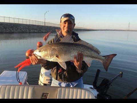 Calaveras Lake: How to Fish for Redfish Calaveras Lake: How to Fish for Redfish