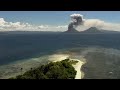 火山の動物たち