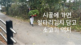 시골로그/텃밭에서 자란 알타리로 김치 담그고 육사시미에 차돌박이 구워먹는 시골일상/#텃밭 #알타리김치 #육사시미 #차돌박이 #시골일상 #시골생활