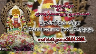 பரமத்திவேலூர் பேட்டை ஸ்ரீ சக்தி கண்ணனூர் புது மாரியம்மன் கோவிலில் பூச்சொரிதல் விழா 26.4.2024