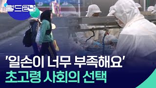 [글로벌K] ‘일손이 너무 부족해요’…초고령 사회의 선택 [맵 브리핑] / KBS  2024.03.19.