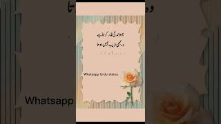 qadar | walid ki or maa ki #islamic #status #whatsapp beautiful lines quotes Urdu best ever lines