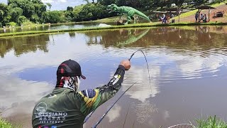 DICAS  DE COMO PEGAR SÓ TILÁPIA GRANDE ONDE TEM MUITAS PEQUENAS....