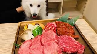 【愛犬】犬と行ける焼肉屋「うしすけお台場店」に行ってきました。