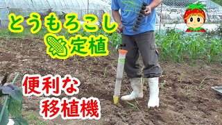 トウモロコシの植え付け。2回目は移植機で楽々。