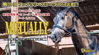 【フェブラリーステークス】矢野厩舎・ミューチャリー（船橋競馬）　追い切り映像【ドローン】