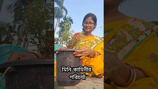 মিনি কামিনী গাছে প্রচুর ফুল পাওয়ার সহজ পরিচর্যা🌼🌱#bengaliminivlog #minivlog #garden #palnt 🧿