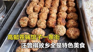 江苏高邮苍蝇馆子一条街，狮子头7元，汪豆腐15元，马蹄肥肠45元！【舟小九】