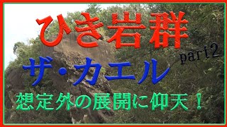 ひき岩カエルの岩をみつけよう！part2 !! 　ひき岩にはカエルにしか見えない、もう一つの岩『ザ・カエル』があった。　一緒に見てみよう。今回はそれだけでは終わらない・・？？