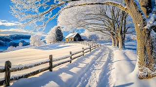 WINTER JANUARY❄️ Snowy Winter Pines with Peaceful Piano Music for for Stress Relief ❄️Relax, Unwind